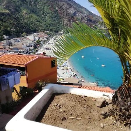 Scyllae - Home, Independent, On Two Levels * Scilla